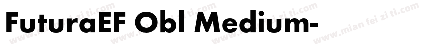 FuturaEF Obl Medium字体转换